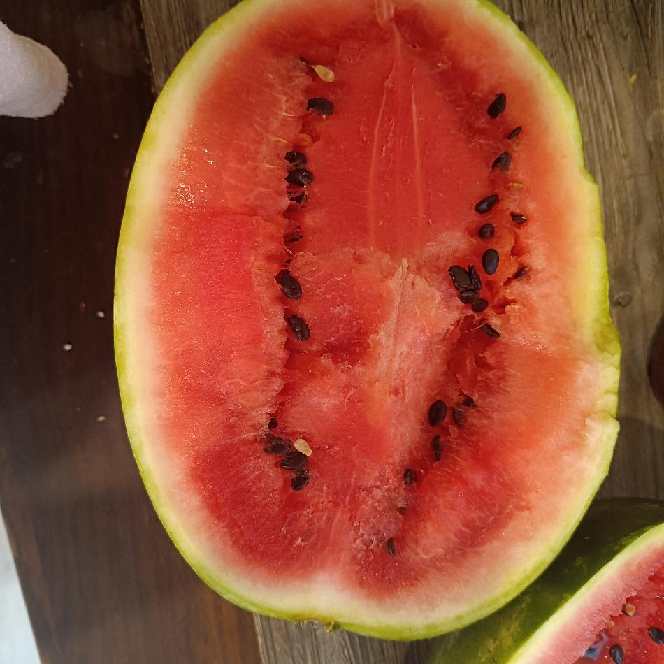 Mytí oken a čištění sedací soupravy